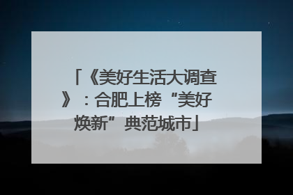 《美好生活大调查》：合肥上榜“美好焕新”典范城市