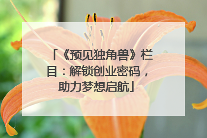 《预见独角兽》栏目：解锁创业密码，助力梦想启航