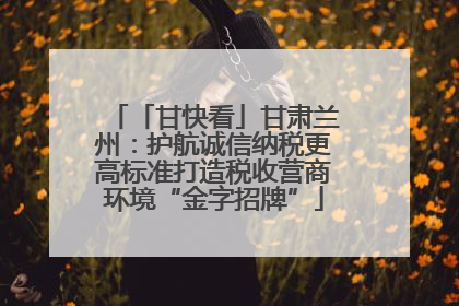 「甘快看」甘肃兰州：护航诚信纳税更高标准打造税收营商环境“金字招牌”