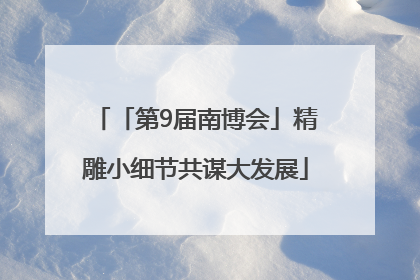 「第9届南博会」精雕小细节共谋大发展