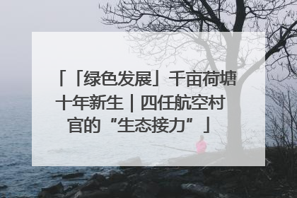 「绿色发展」千亩荷塘 十年新生｜四任航空村官的“生态接力”