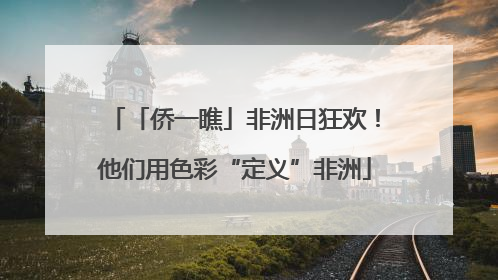 「侨一瞧」非洲日狂欢！他们用色彩“定义”非洲
