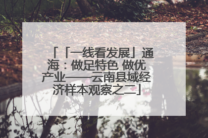 「一线看发展」通海：做足特色 做优产业——云南县域经济样本观察之二