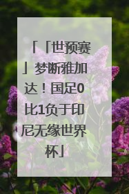 「世预赛」梦断雅加达！国足0比1负于印尼无缘世界杯