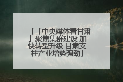 「中央媒体看甘肃」聚焦集群建设 加快转型升级 甘肃支柱产业增势强劲