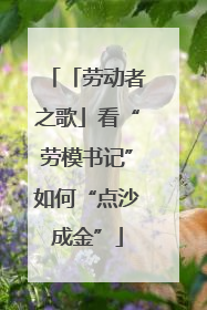 「劳动者之歌」看“劳模书记”如何“点沙成金”