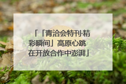 「青洽会特刊·精彩瞬间」高原心跳 在开放合作中澎湃