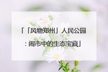 「风物郑州」人民公园：闹市中的生态宝藏