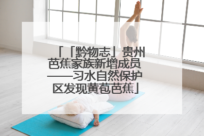 「黔物志」贵州芭蕉家族新增成员——习水自然保护区发现黄苞芭蕉