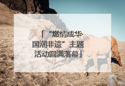 “燃情成华·国潮非遗”主题活动圆满落幕