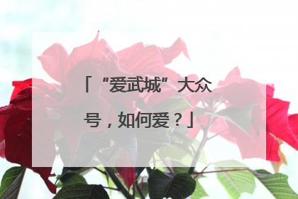 “爱武城”大众号，如何爱？