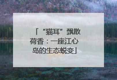 “猫耳”飘散荷香：一座江心岛的生态蜕变