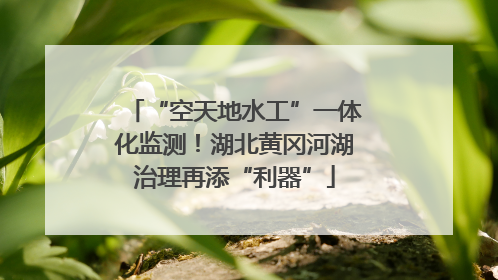 “空天地水工”一体化监测！湖北黄冈河湖治理再添“利器”