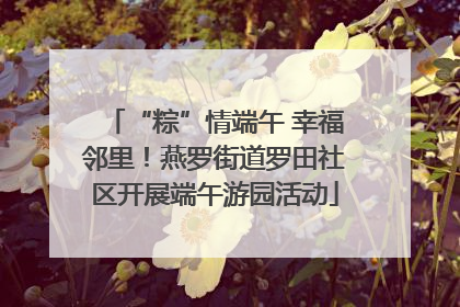 “粽”情端午 幸福邻里！燕罗街道罗田社区开展端午游园活动