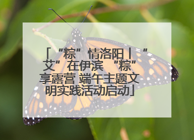 “粽”情洛阳丨“艾”在伊滨 “粽”享露营 端午主题文明实践活动启动