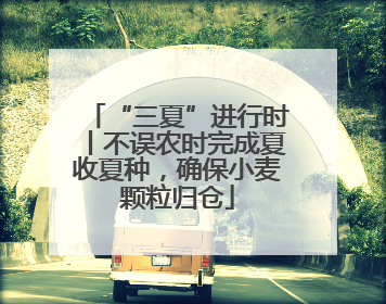 “三夏”进行时丨不误农时完成夏收夏种，确保小麦颗粒归仓
