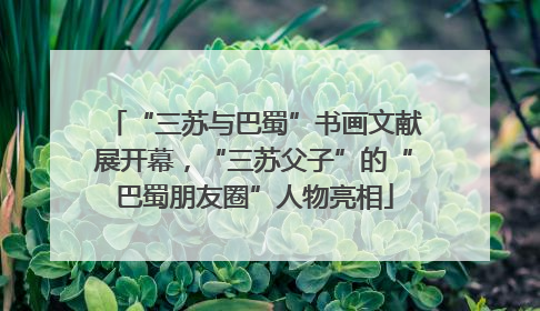 “三苏与巴蜀”书画文献展开幕，“三苏父子”的“巴蜀朋友圈”人物亮相