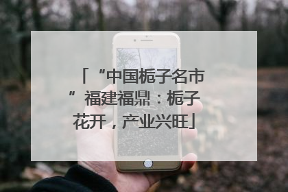“中国栀子名市”福建福鼎：栀子花开，产业兴旺