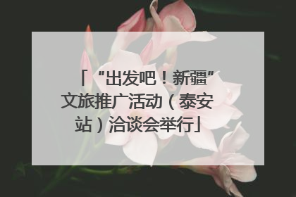 “出发吧！新疆”文旅推广活动（泰安站）洽谈会举行