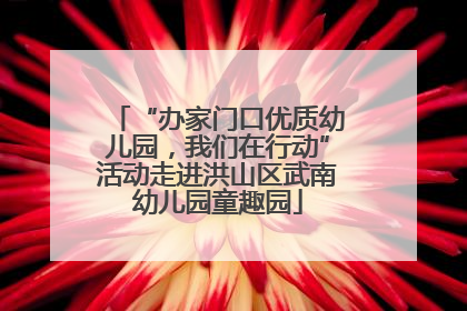 “办家门口优质幼儿园，我们在行动”活动走进洪山区武南幼儿园童趣园