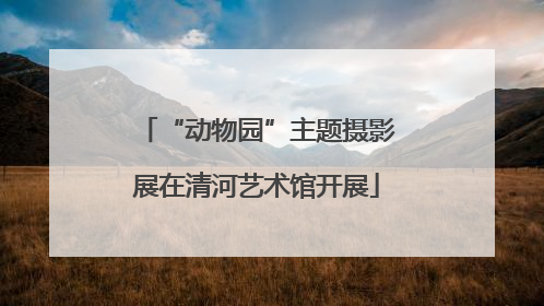 “动物园”主题摄影展在清河艺术馆开展