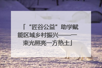 “匠谷公益”助学赋能区域乡村振兴——一束光照亮一方热土