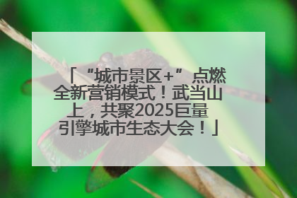 “城市景区+”点燃全新营销模式！武当山上，共聚2025巨量引擎城市生态大会！