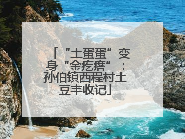 “土蛋蛋”变身“金疙瘩”：孙伯镇西程村土豆丰收记