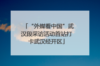 “外媒看中国”武汉段采访活动首站打卡武汉经开区