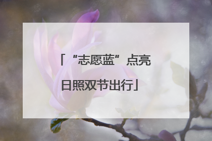 “志愿蓝”点亮日照双节出行