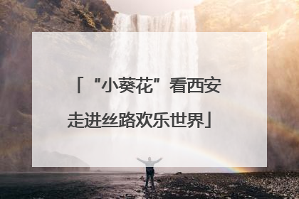 “小葵花”看西安走进丝路欢乐世界