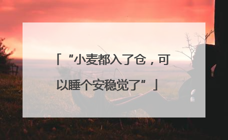 “小麦都入了仓，可以睡个安稳觉了”