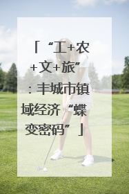 “工+农+文+旅”：丰城市镇域经济“蝶变密码”