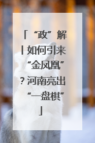 “政”解丨如何引来“金凤凰”？河南亮出“一盘棋”