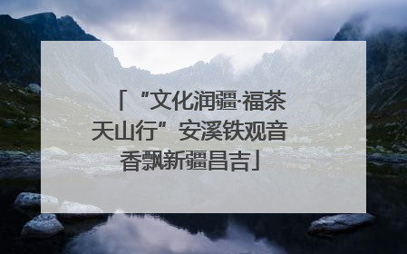 “文化润疆·福茶天山行”安溪铁观音香飘新疆昌吉