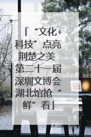 “文化+科技”点亮荆楚之美 第二十一届深圳文博会湖北馆抢“鲜”看