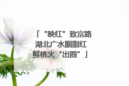 “映红”致富路 湖北广水胭脂红鲜桃火“出圈”