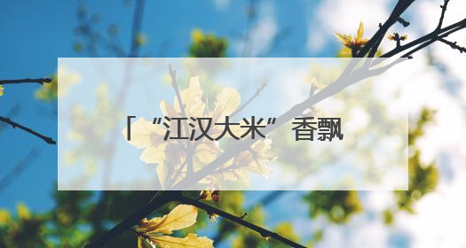 “江汉大米”香飘山城！鄂渝粮油合作签约14.7亿元