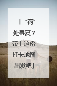 “荷”处寻夏？带上这份打卡地图出发吧