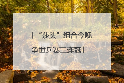 “莎头”组合今晚争世乒赛三连冠