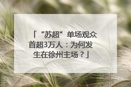 “苏超”单场观众首超3万人：为何发生在徐州主场？