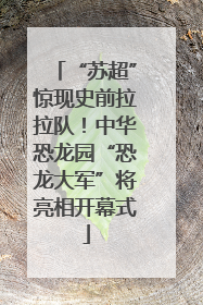 “苏超”惊现史前拉拉队！中华恐龙园“恐龙大军”将亮相开幕式