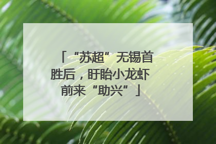 “苏超”无锡首胜后，盱眙小龙虾前来“助兴”