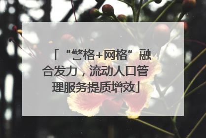 “警格+网格”融合发力，流动人口管理服务提质增效