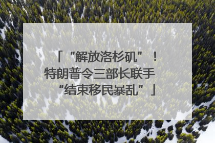 “解放洛杉矶”！特朗普令三部长联手“结束移民暴乱”
