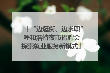 “边逛街、边求职” 呼和浩特夜市招聘会探索就业服务新模式