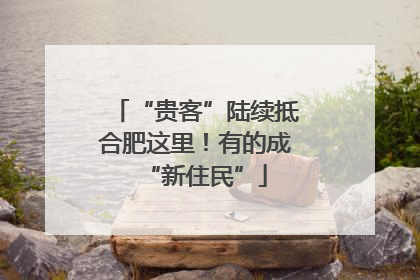 “贵客”陆续抵合肥这里！有的成“新住民”