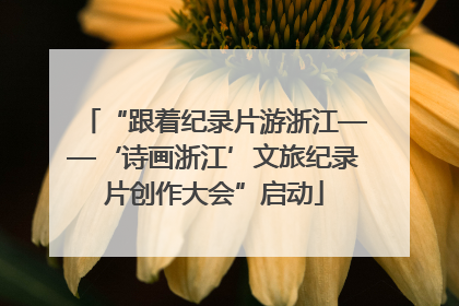 “跟着纪录片游浙江——‘诗画浙江’文旅纪录片创作大会”启动