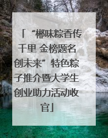 “郴味粽香传千里 金榜题名创未来”特色粽子推介暨大学生创业助力活动收官