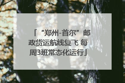 “郑州-首尔”邮政货运航线复飞 每周3班常态化运行